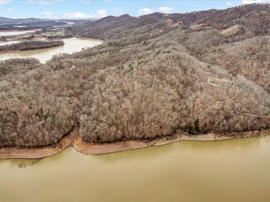 1204 Waterview Lane, Mooresburg, Tennessee image 8