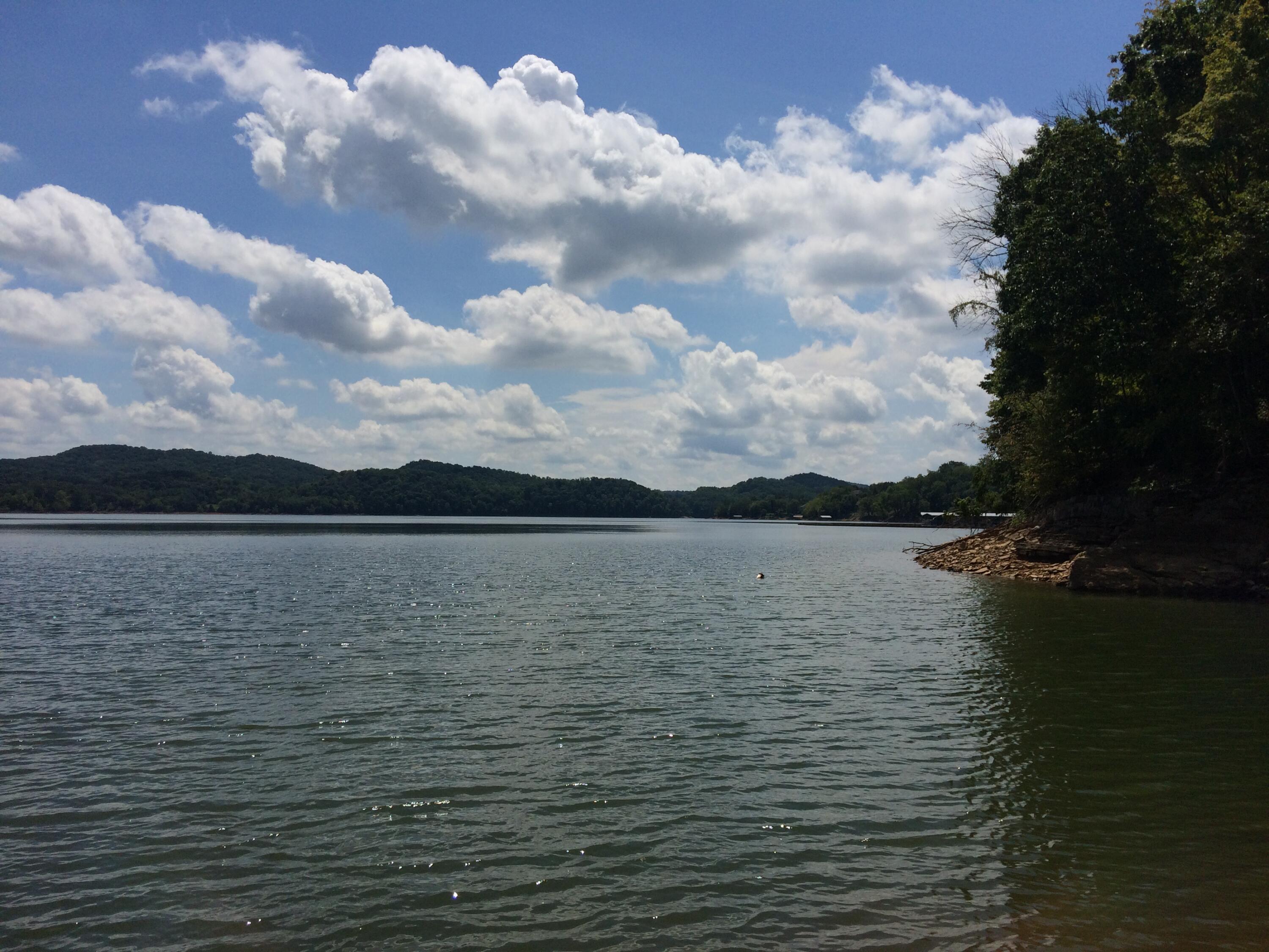 1204 Waterview Lane, Mooresburg, Tennessee image 4