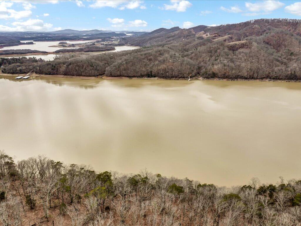 1204 Waterview Lane, Mooresburg, Tennessee image 13