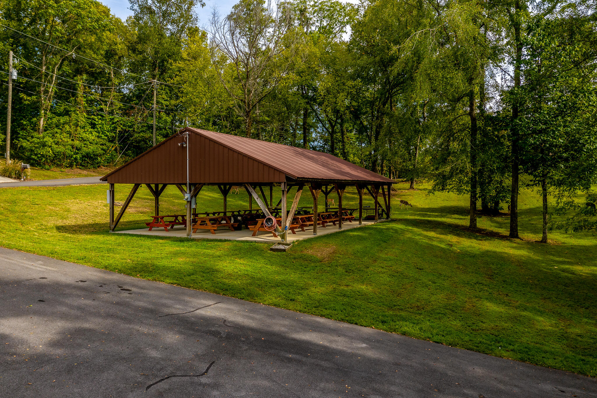 1204 Waterview Lane, Mooresburg, Tennessee image 18