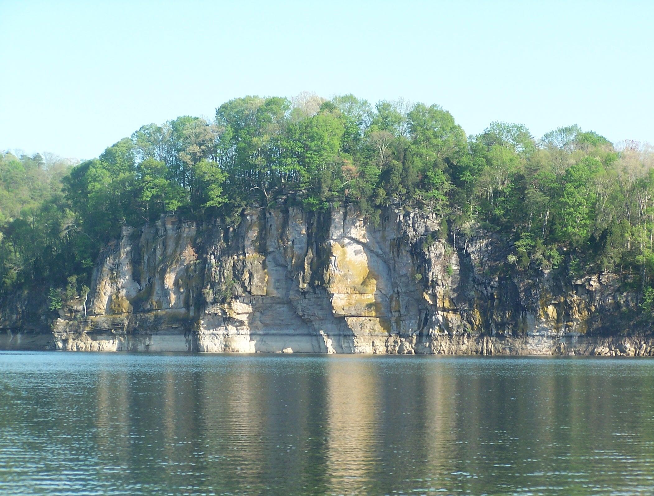 1204 Waterview Lane, Mooresburg, Tennessee image 22