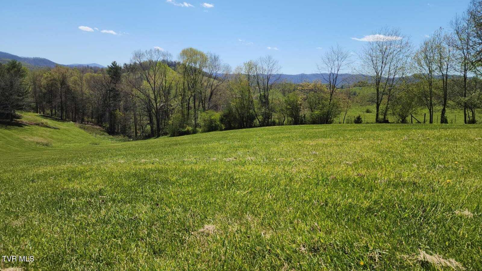 Dry Hill Road #LOT 29, Butler, Tennessee image 10