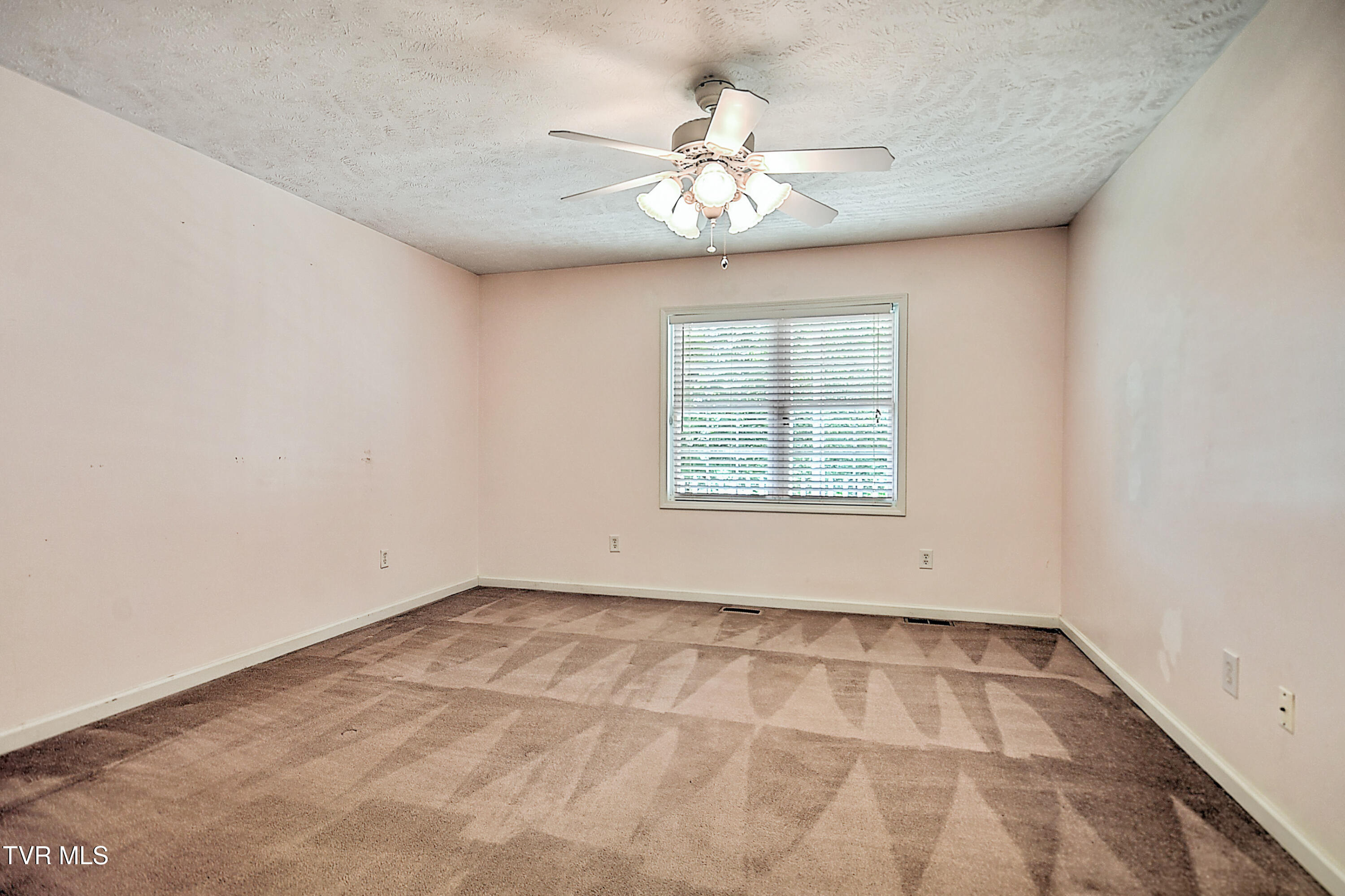 189 Taylor Drive, Piney Flats, Tennessee image 23