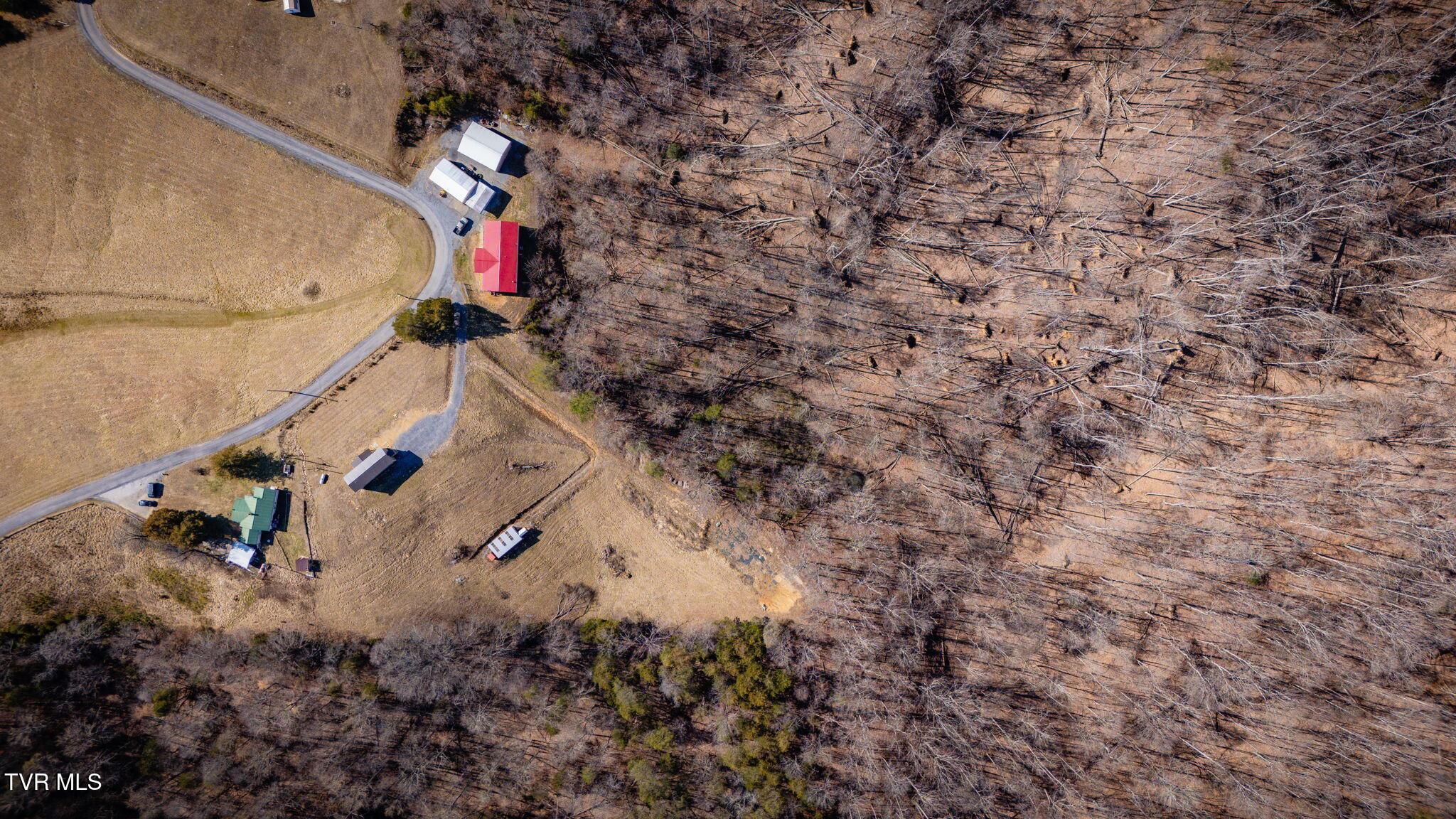 358 Manis Road, Rogersville, Tennessee image 35