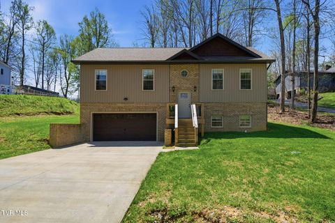 Homes For Sale - 353 County Farm Road<br/> Jonesborough, TN 37659