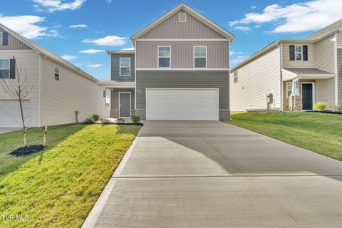 Photo of 1137 Aspen Terrace, Greeneville, TN 37745 (MLS # 9981510)