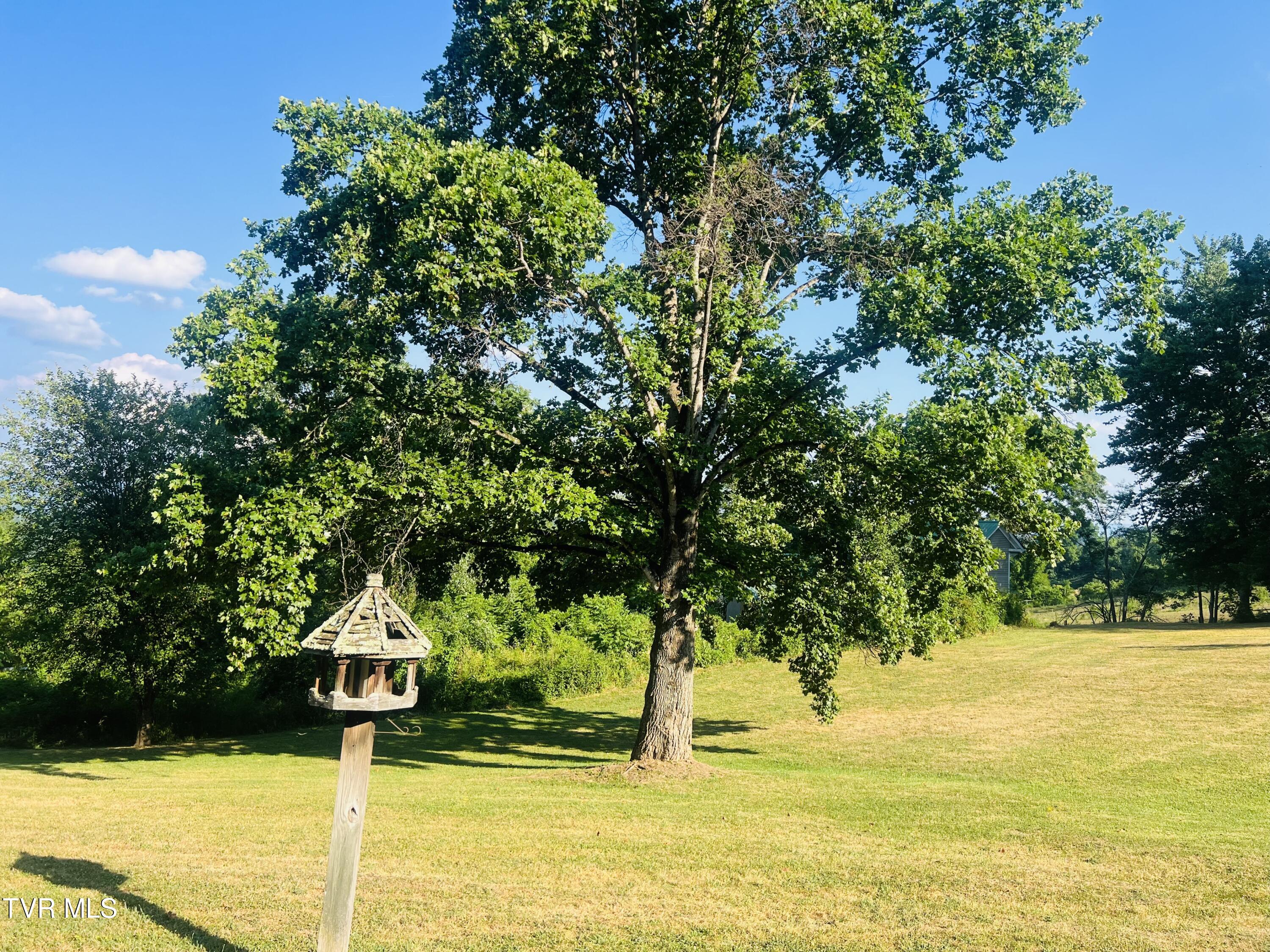 10702 Redbud Highway, Honaker, Virginia image 18