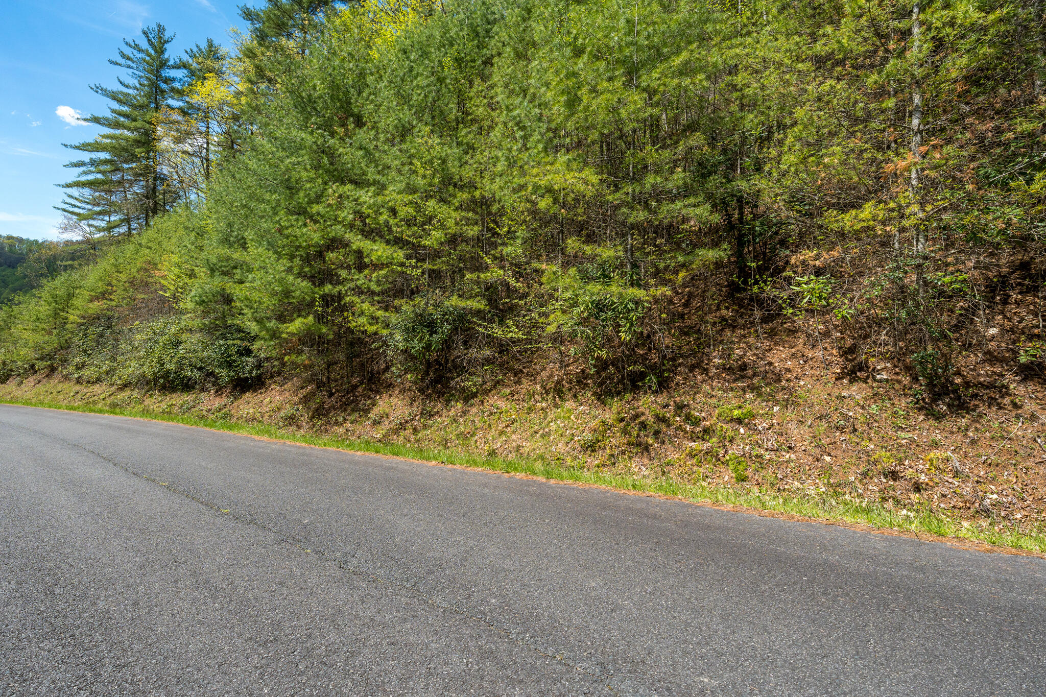 Lot 9 Callalantee Drive, Mountain City, Tennessee image 1