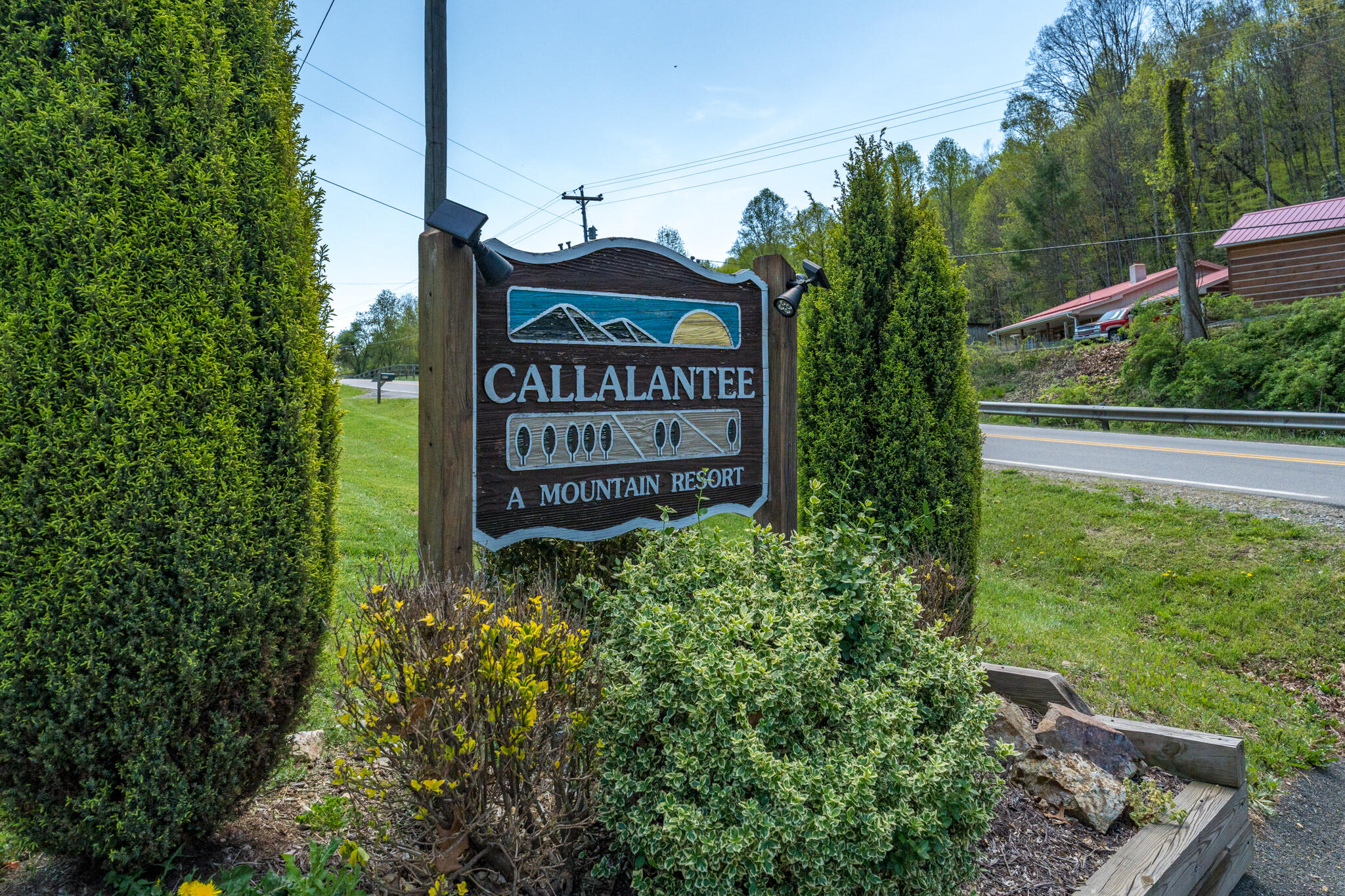 Lot 9 Callalantee Drive, Mountain City, Tennessee image 6