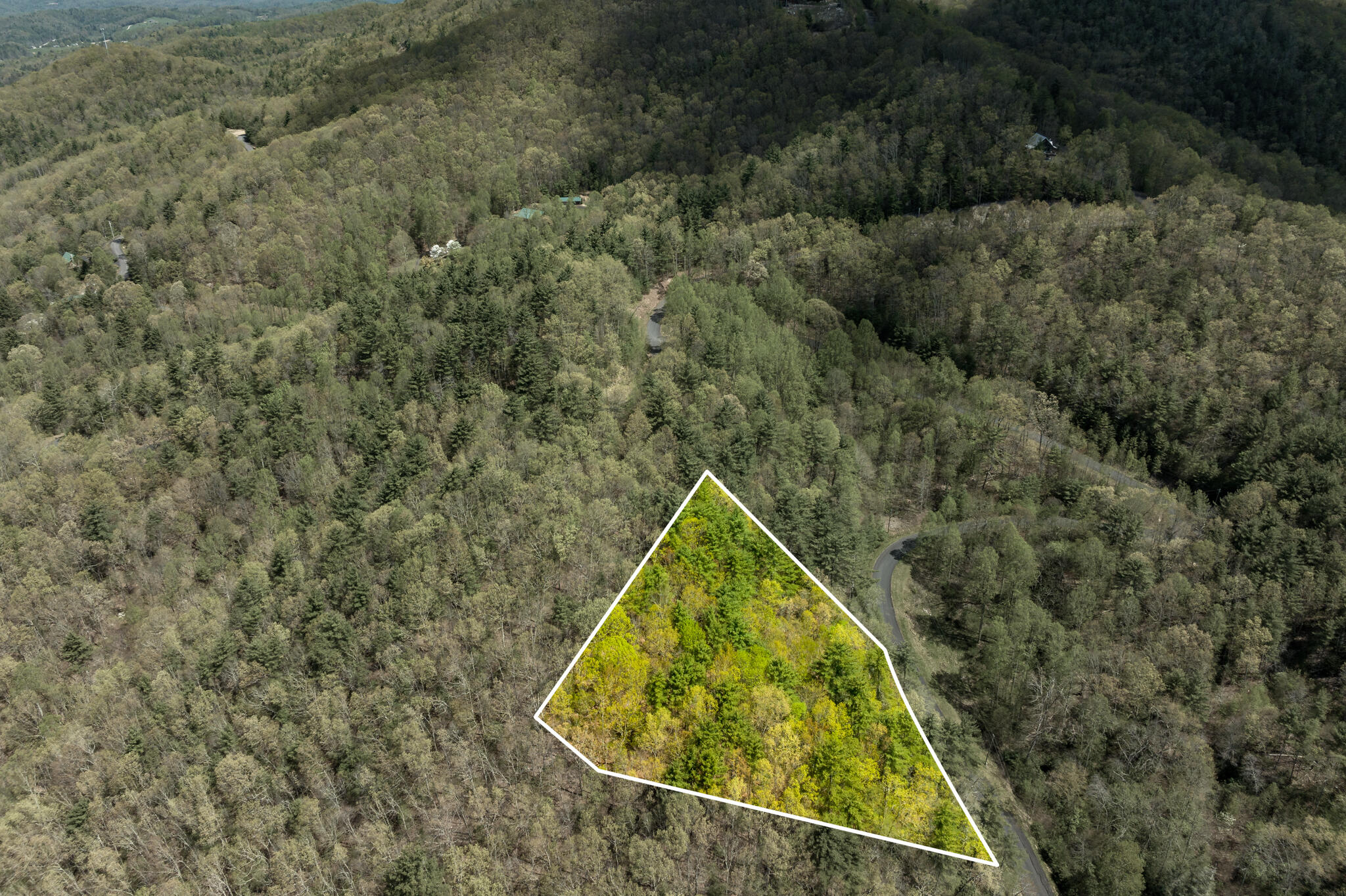 Lot 9 Callalantee Drive, Mountain City, Tennessee image 8