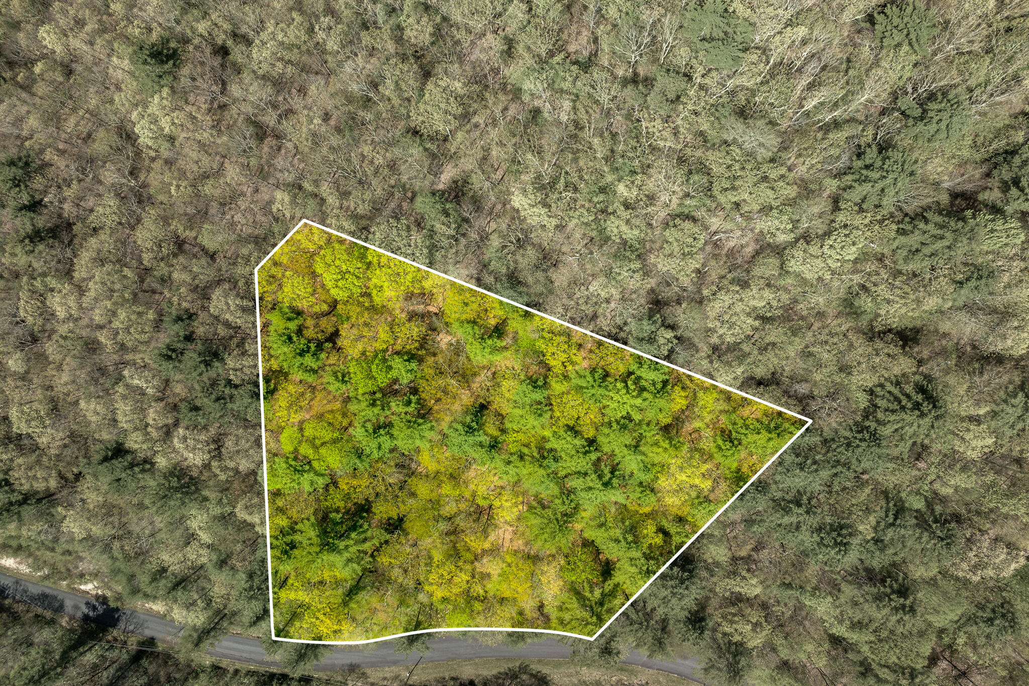 Lot 9 Callalantee Drive, Mountain City, Tennessee image 12