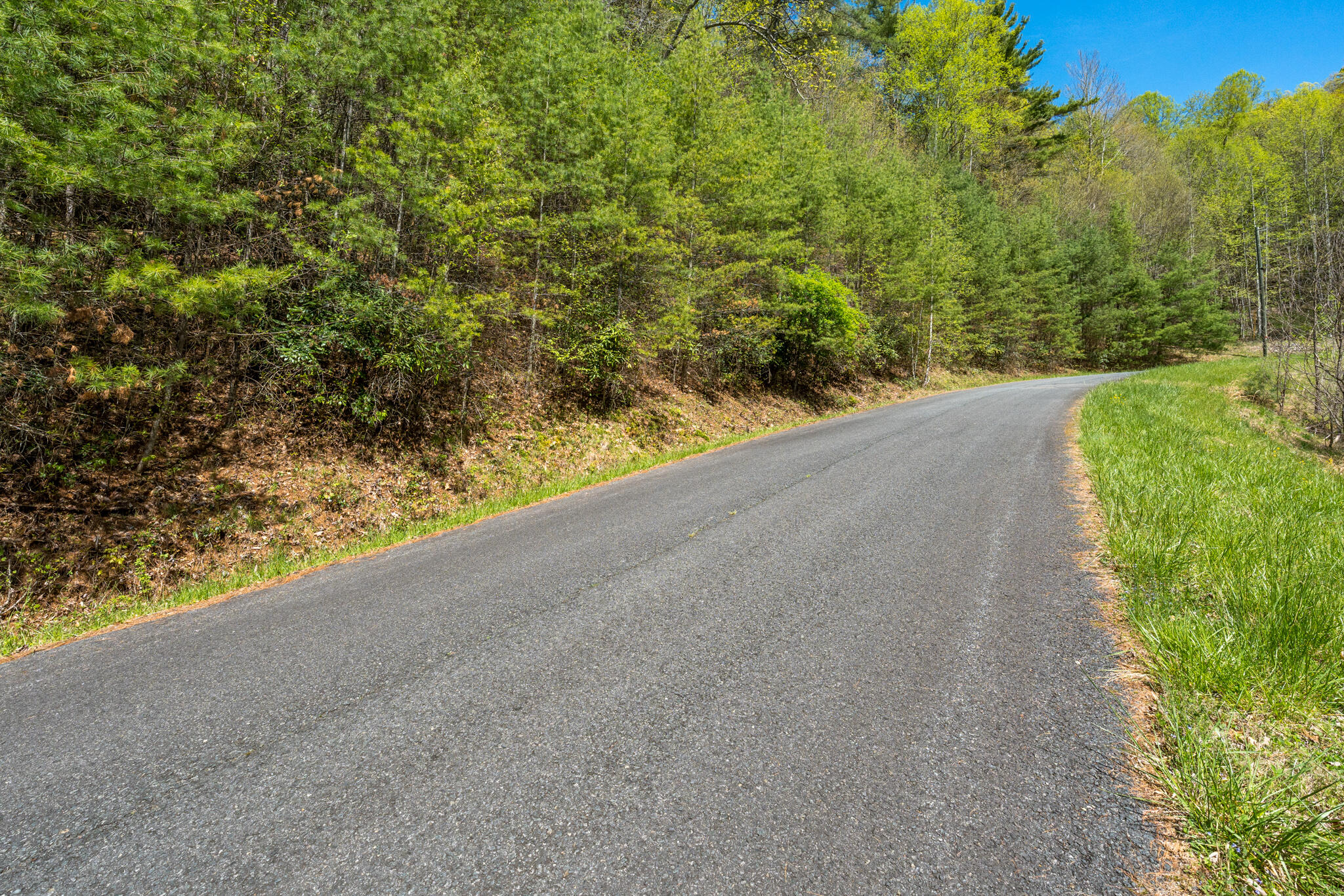 Lot 9 Callalantee Drive, Mountain City, Tennessee image 15