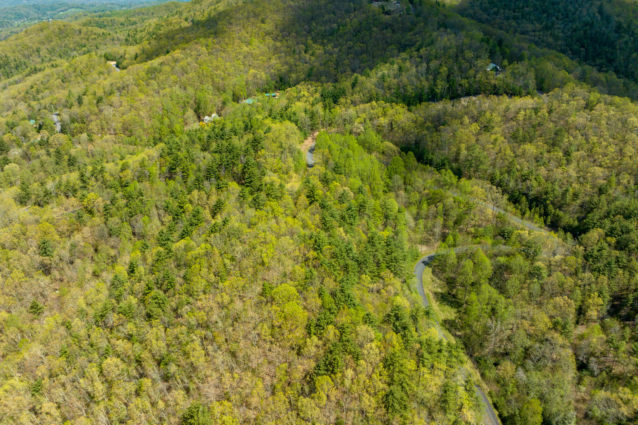 Lot 9 Callalantee Drive, Mountain City, Tennessee image 9