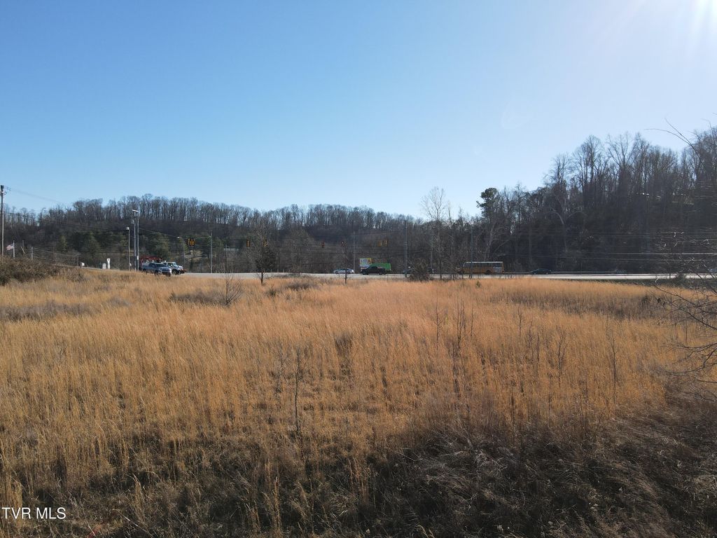 Photo of Tbd Hwy 11e &amp; New Hope Rd, Jonesborough, TN 37659 (MLS # 9990085)