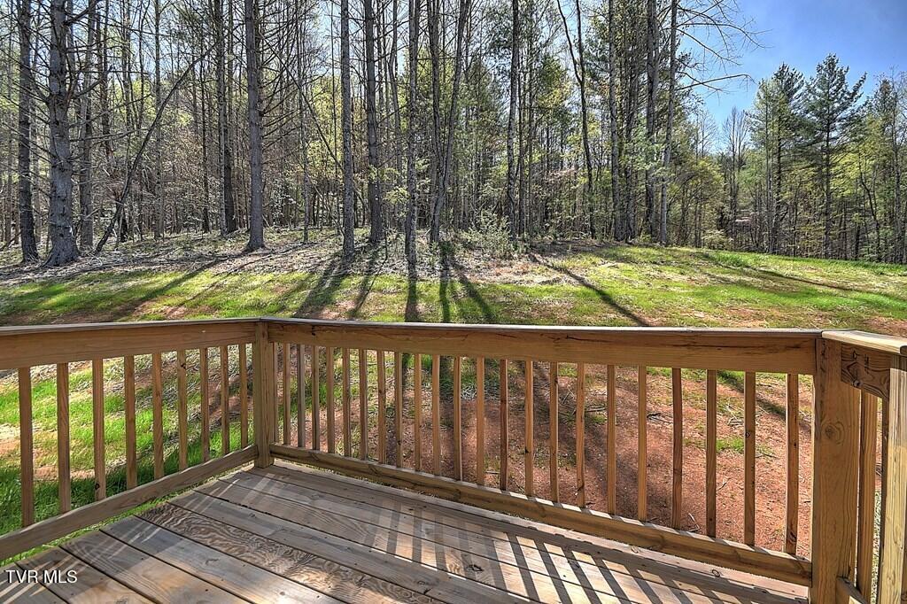 477 Norris Rd ( Bridle Path) Road, Butler, Tennessee image 3