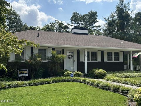 Tiny photo for 226 Susong Lane, Greeneville, TN 37743 (MLS # 9983578)