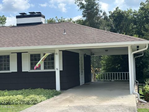 Tiny photo for 226 Susong Lane, Greeneville, TN 37743 (MLS # 9983578)