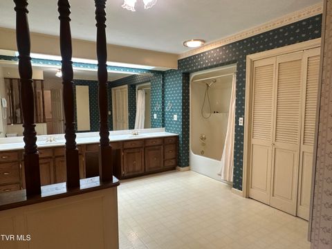 Tiny photo for 226 Susong Lane, Greeneville, TN 37743 (MLS # 9983578)