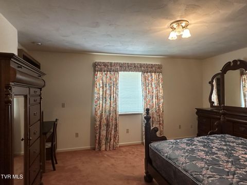 Tiny photo for 226 Susong Lane, Greeneville, TN 37743 (MLS # 9983578)