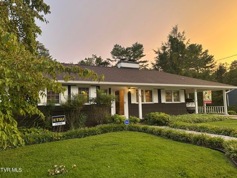 Tiny photo for 226 Susong Lane, Greeneville, TN 37743 (MLS # 9983578)