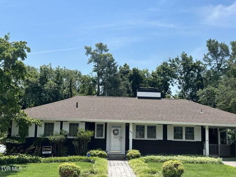 Tiny photo for 226 Susong Lane, Greeneville, TN 37743 (MLS # 9983578)