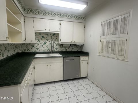 Tiny photo for 226 Susong Lane, Greeneville, TN 37743 (MLS # 9983578)