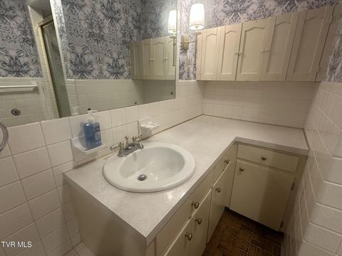 Tiny photo for 226 Susong Lane, Greeneville, TN 37743 (MLS # 9983578)