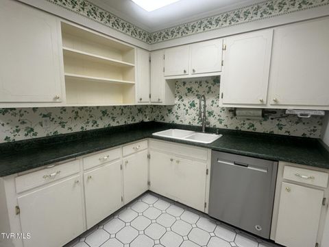 Tiny photo for 226 Susong Lane, Greeneville, TN 37743 (MLS # 9983578)