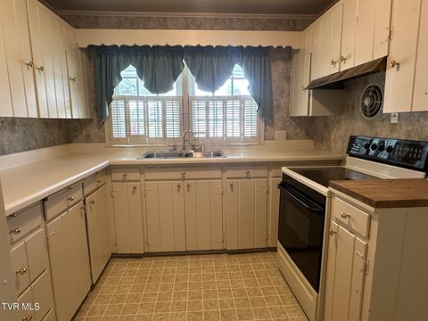 Tiny photo for 226 Susong Lane, Greeneville, TN 37743 (MLS # 9983578)