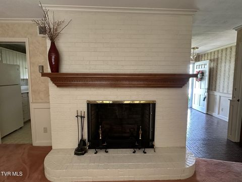 Tiny photo for 226 Susong Lane, Greeneville, TN 37743 (MLS # 9983578)