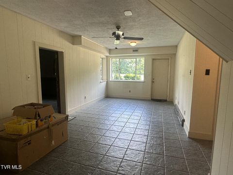 Tiny photo for 226 Susong Lane, Greeneville, TN 37743 (MLS # 9983578)