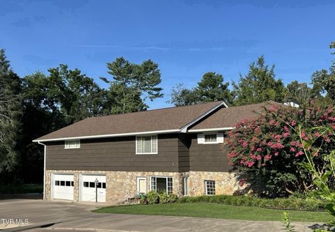 Tiny photo for 226 Susong Lane, Greeneville, TN 37743 (MLS # 9983578)