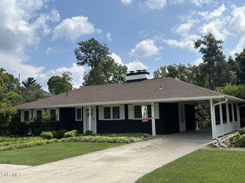 Tiny photo for 226 Susong Lane, Greeneville, TN 37743 (MLS # 9983578)