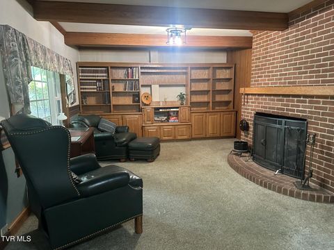 Tiny photo for 226 Susong Lane, Greeneville, TN 37743 (MLS # 9983578)