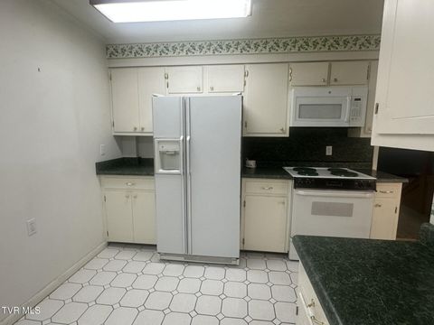 Tiny photo for 226 Susong Lane, Greeneville, TN 37743 (MLS # 9983578)