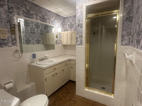 Tiny photo for 226 Susong Lane, Greeneville, TN 37743 (MLS # 9983578)