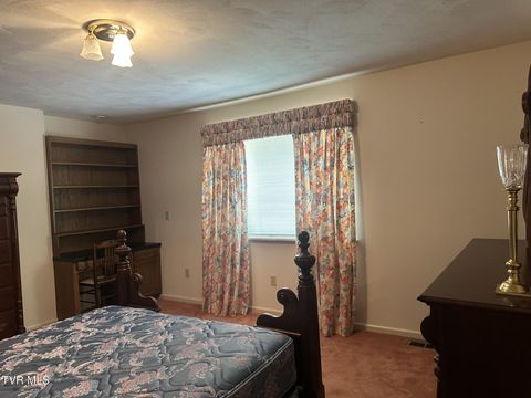 Tiny photo for 226 Susong Lane, Greeneville, TN 37743 (MLS # 9983578)