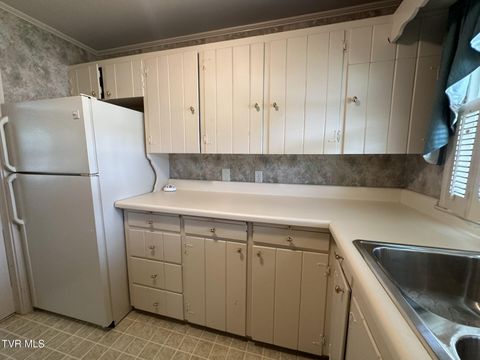 Tiny photo for 226 Susong Lane, Greeneville, TN 37743 (MLS # 9983578)