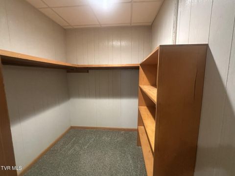 Tiny photo for 226 Susong Lane, Greeneville, TN 37743 (MLS # 9983578)