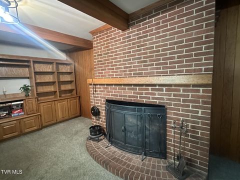 Tiny photo for 226 Susong Lane, Greeneville, TN 37743 (MLS # 9983578)