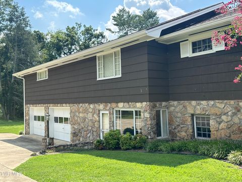 Tiny photo for 226 Susong Lane, Greeneville, TN 37743 (MLS # 9983578)