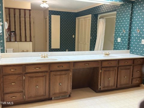 Tiny photo for 226 Susong Lane, Greeneville, TN 37743 (MLS # 9983578)