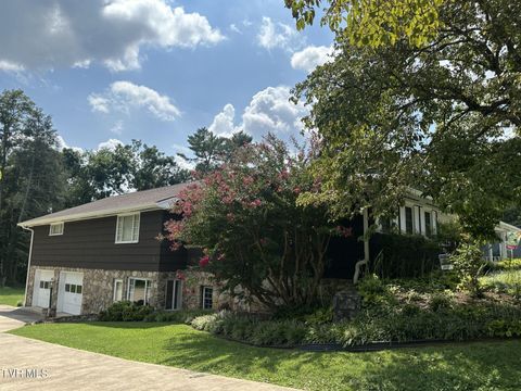 Tiny photo for 226 Susong Lane, Greeneville, TN 37743 (MLS # 9983578)