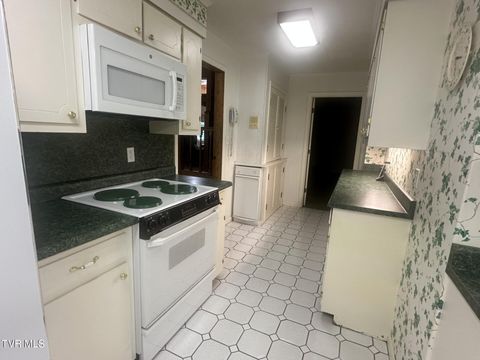 Tiny photo for 226 Susong Lane, Greeneville, TN 37743 (MLS # 9983578)