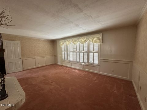 Tiny photo for 226 Susong Lane, Greeneville, TN 37743 (MLS # 9983578)