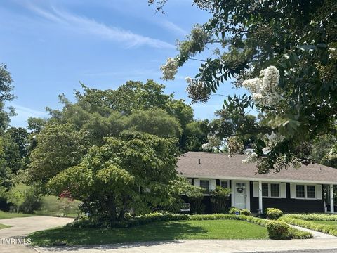 Tiny photo for 226 Susong Lane, Greeneville, TN 37743 (MLS # 9983578)