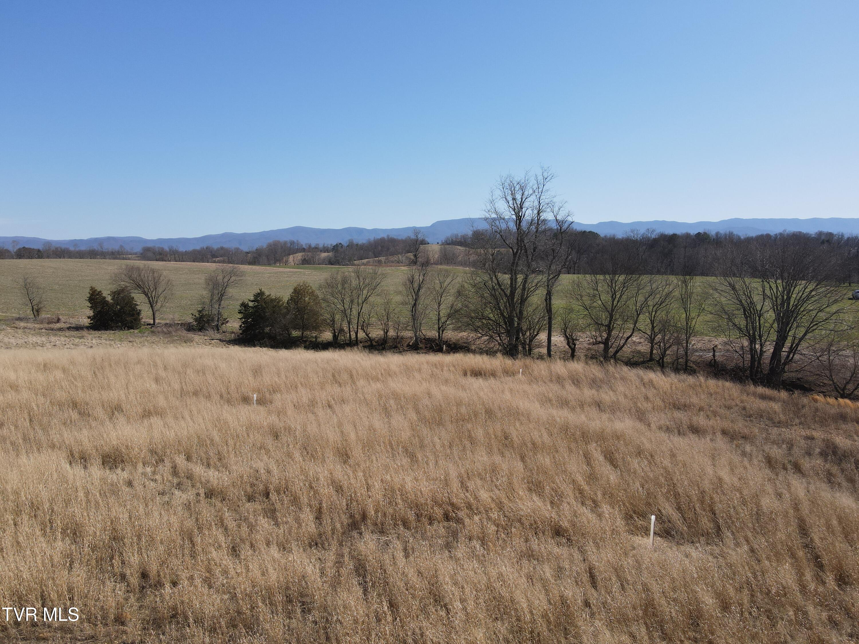 Tbd River Village Ln, Afton, Tennessee image 1