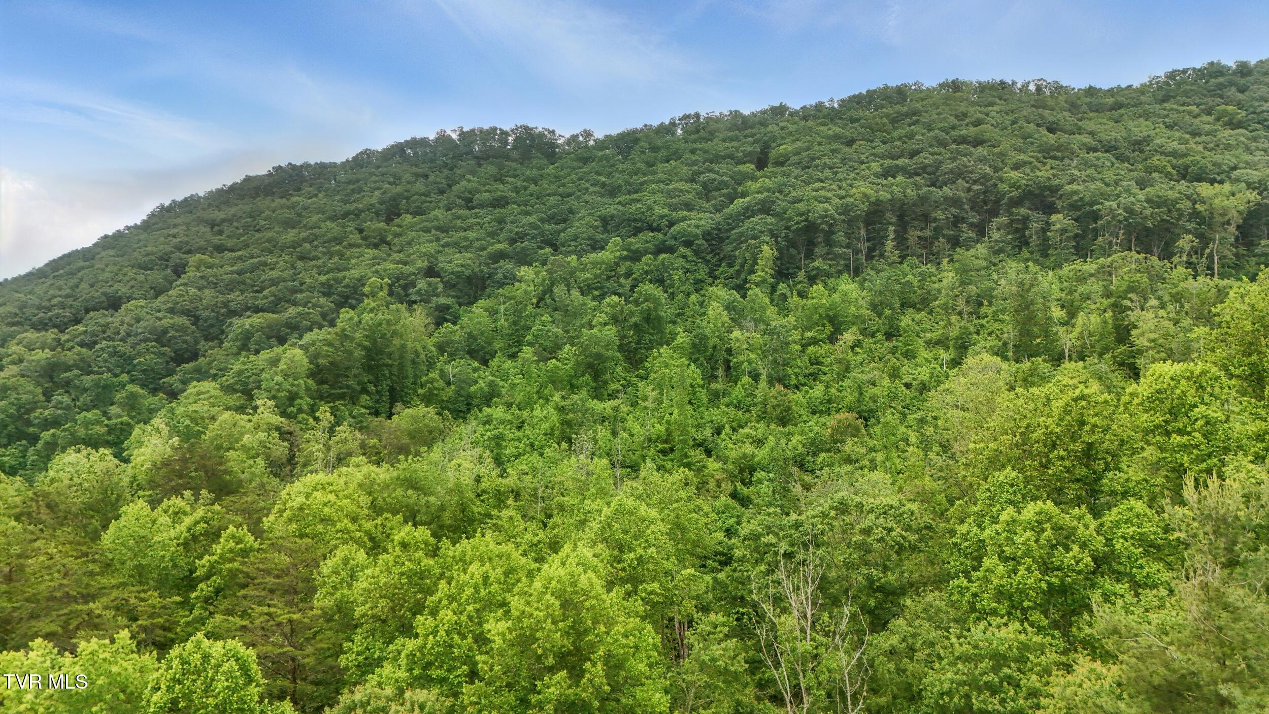 5065 Tahoe Trail, Saltville, Virginia image 9