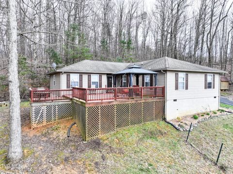 Photo of 144 Kelsey Peterson Road, Jonesborough, TN 37659 (MLS # 9992493)