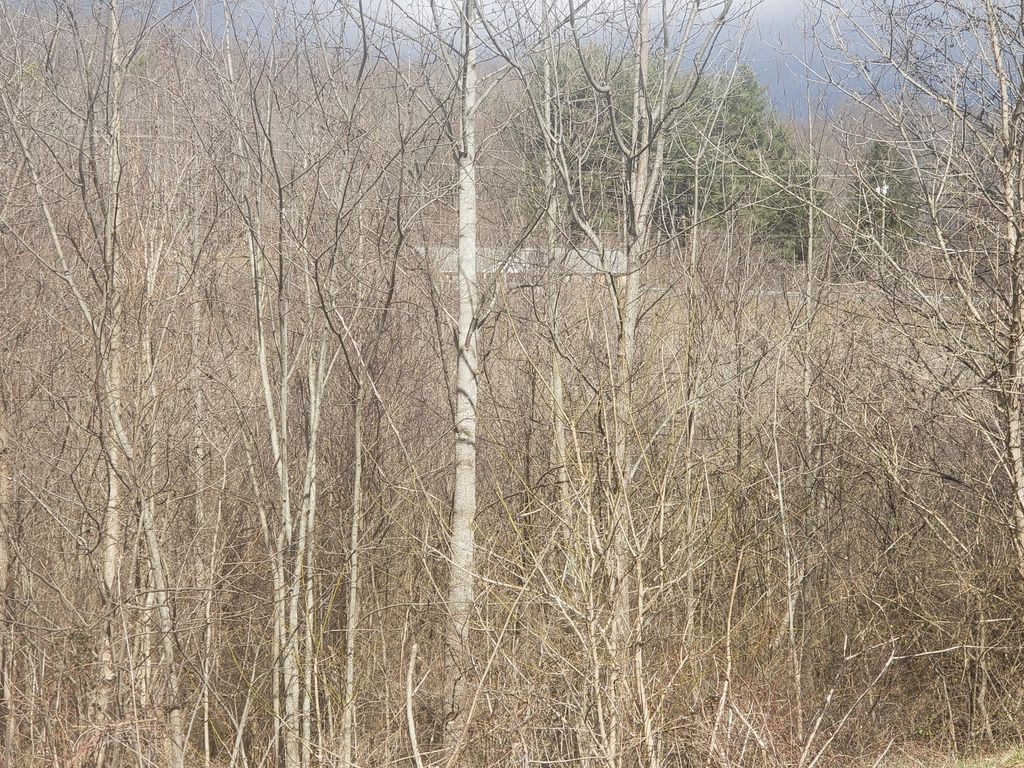 Photo of Tbd Meadow View Road, Bristol, TN 37620 (MLS # 9988237)